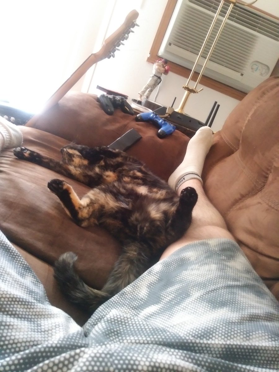 RagingRangerT's tweet photo. My Sól a year ago when I got her and my Sól yesterday when I was lounging. 😭😭😭 https://t.co/ozGQyZQlNr