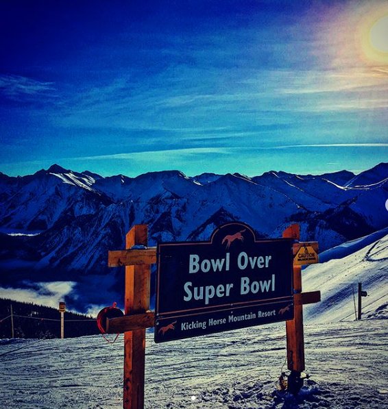 BacksideTours's tweet image. 👀 Coupon Code Inside 👀 - mailchi.mp/backsidetours/…