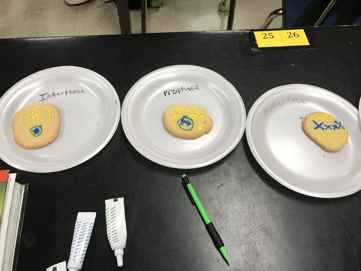 HCS_ScienceDept's tweet image. @KecoughtanHigh Biology students use different materials to show their knowledge of cell division. #hcsscience @HamptonCSchools @knichmass #WeAreHCS