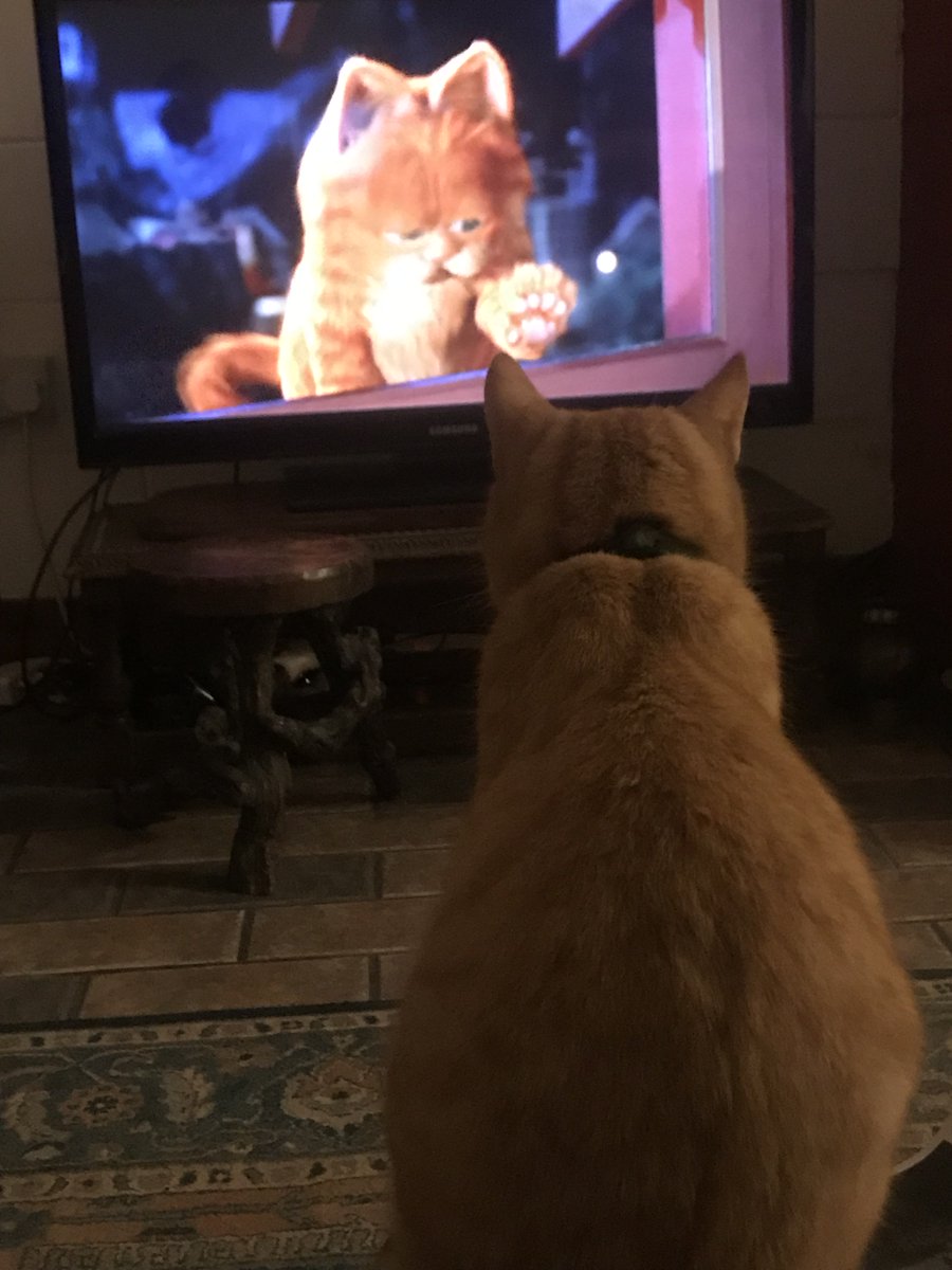 Farm Cats tweet media