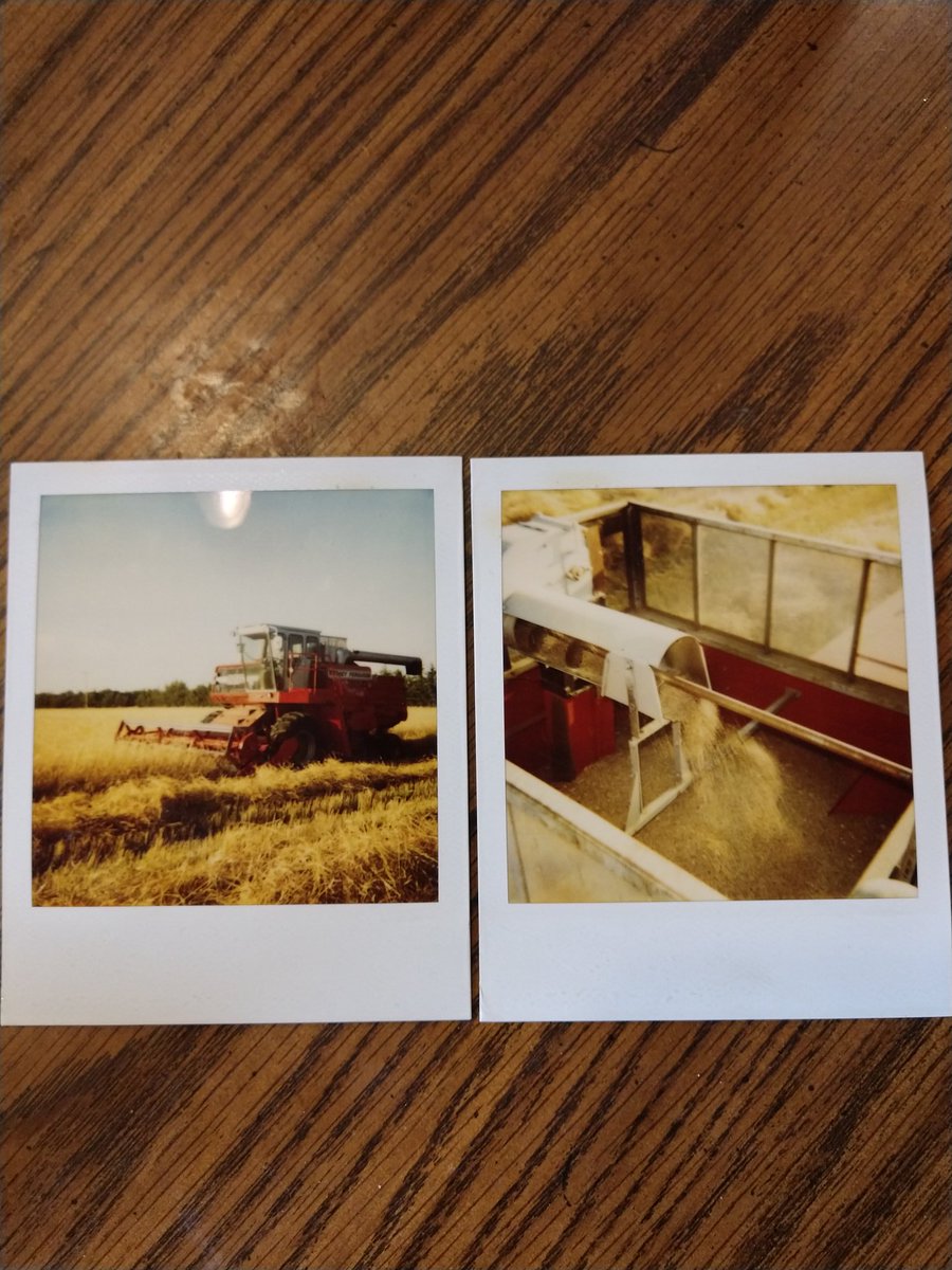 reinke_farms's tweet image. Found a few pictures of the good ole days in my eyes. Second combine I ever ran. Spent a lot of time on the platform and engine doors in front of the grain tank of the 750 before it. Can&apos;t imagine letting my boys now days! #polaroidmemories