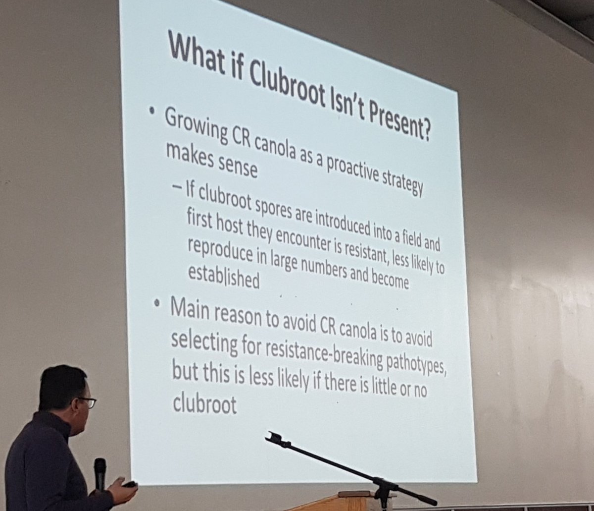 Great to have clubroot expert Dr. Stephen Strelkov clarify this topic. Follow a proactive strategy and keep the spore load low!