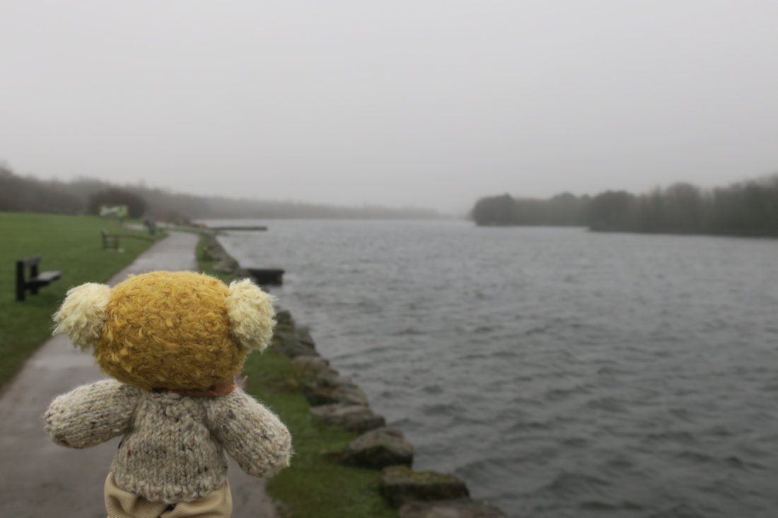 We discovered a nice lake today... me and Grandpaw went for a walk. 
#FurryTails