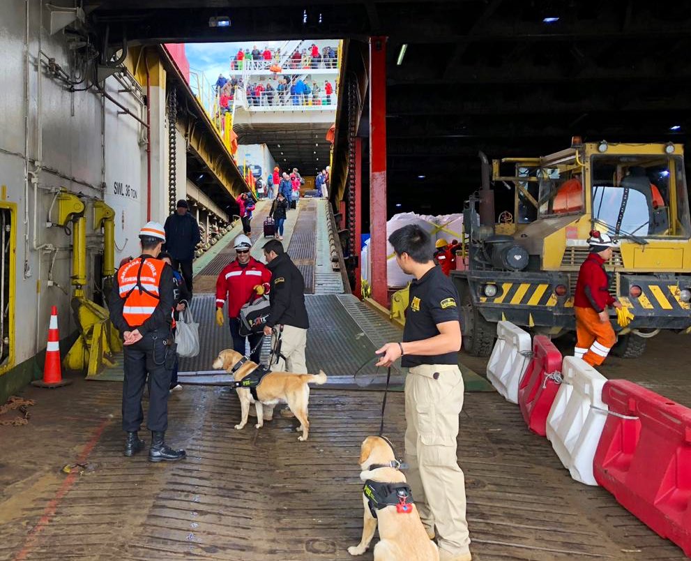 PDI_Magallanes's tweet photo. Puerto Natales: Detectives de la Brigada Antinarcóticos y Contra el Crimen Organizado se encuentran en el Ferry Evangelistas procedente de #PuertoMontt, con el fin de evitar el ingreso de sustancias ilícitas a #Magallanes.🕵🏻‍♂️🐕 #InvestigarEstáEnNuestroADN https://t.co/1WKUepidx7