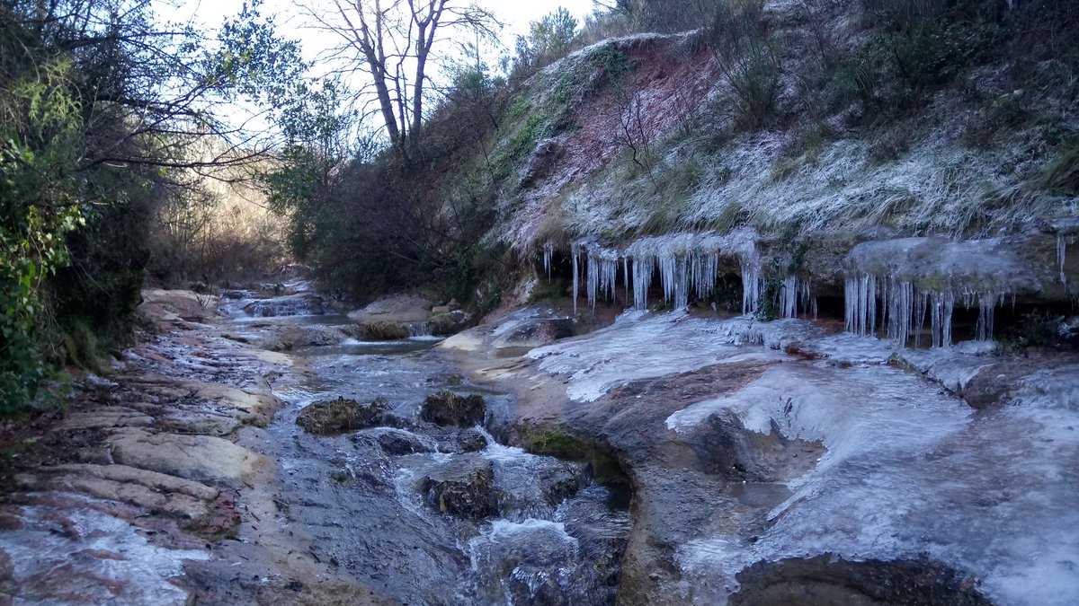 ncidpuey's tweet photo. First sampling day for the #MECODISPER project, studying #metacommunities in intermittent streams to develop new tools for their management. But for the moment, we're just freezing! https://t.co/2SFQHBxfoE