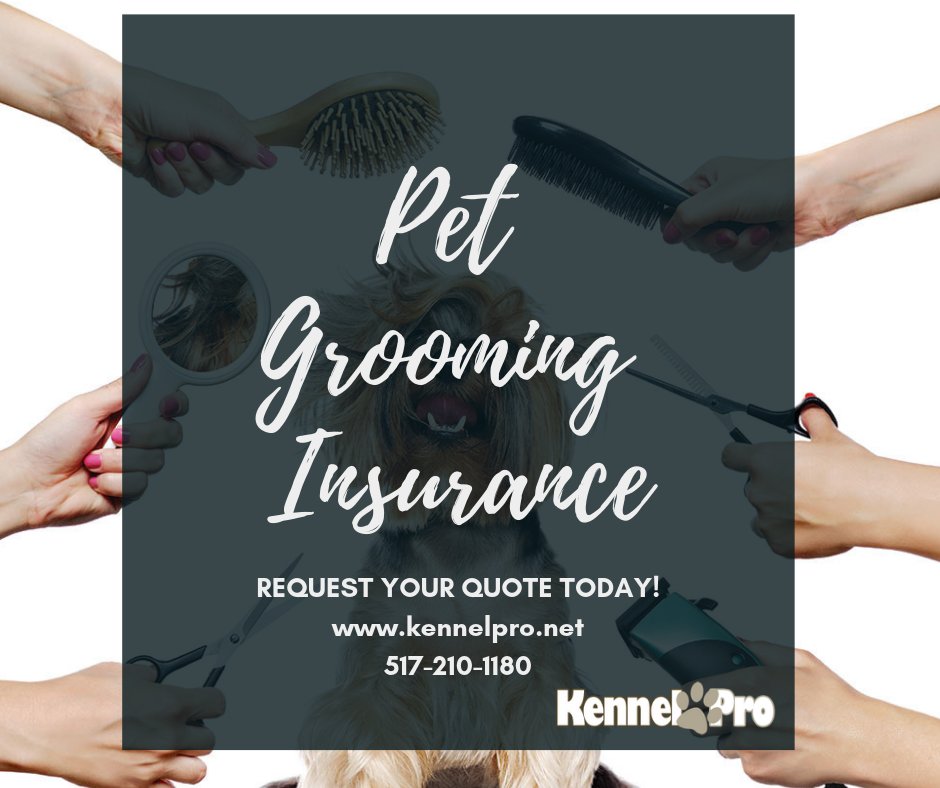 Along with easing your clients’ minds here are the benefits of securing a #doggrooming policy:Higher levels of trust from clients. Coverage for property at the clients’ home. Coverage for medical and #veterinarybills stemming from bites or other physical altercations. #doggroomer