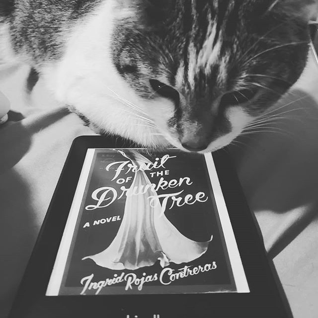 Sicilyjoy's tweet photo. #currentreads Fruit of the Drunken Tree
#boutofbooks #boutofbooks24 
About halfway done.

#winterrespite #booklife #bookstagram #amreading 
#JanLitWrit19 5 adjectives that describe my #WIP Dark, hot, heartbreaking, uplifting, wrathful.#writingcommunity #… https://t.co/Vnc4k9BrV6 https://t.co/Jz0g8u8XN3