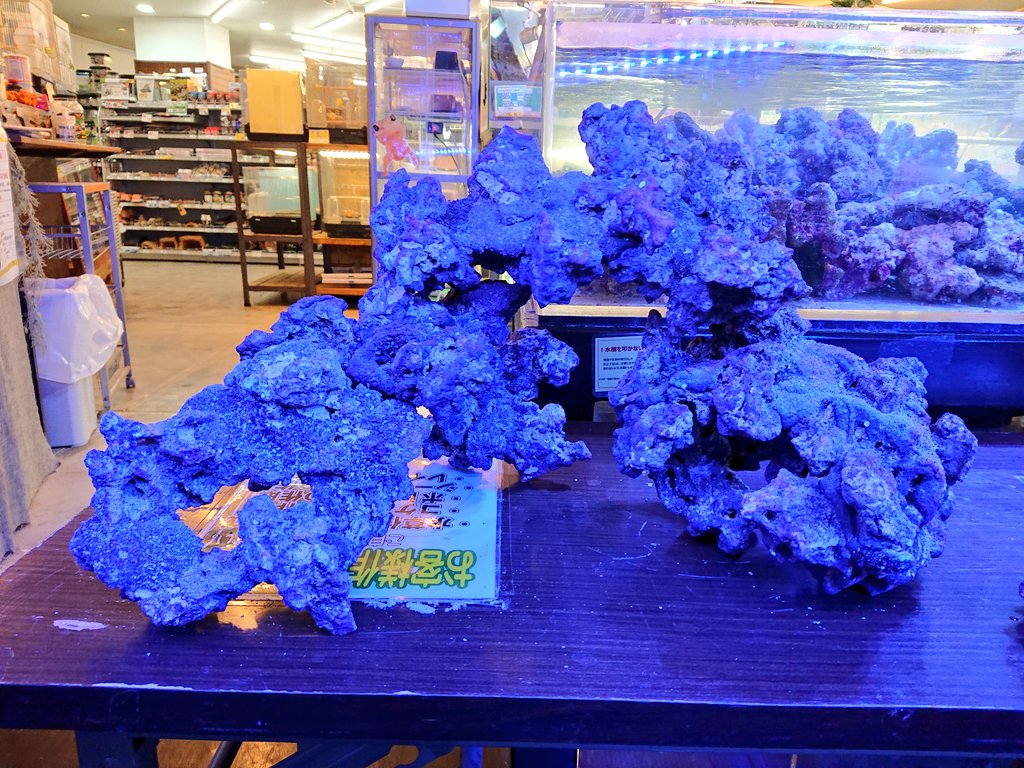 サンゴ ライブロック 人工 JSコーラルロック アクアテイラーズ