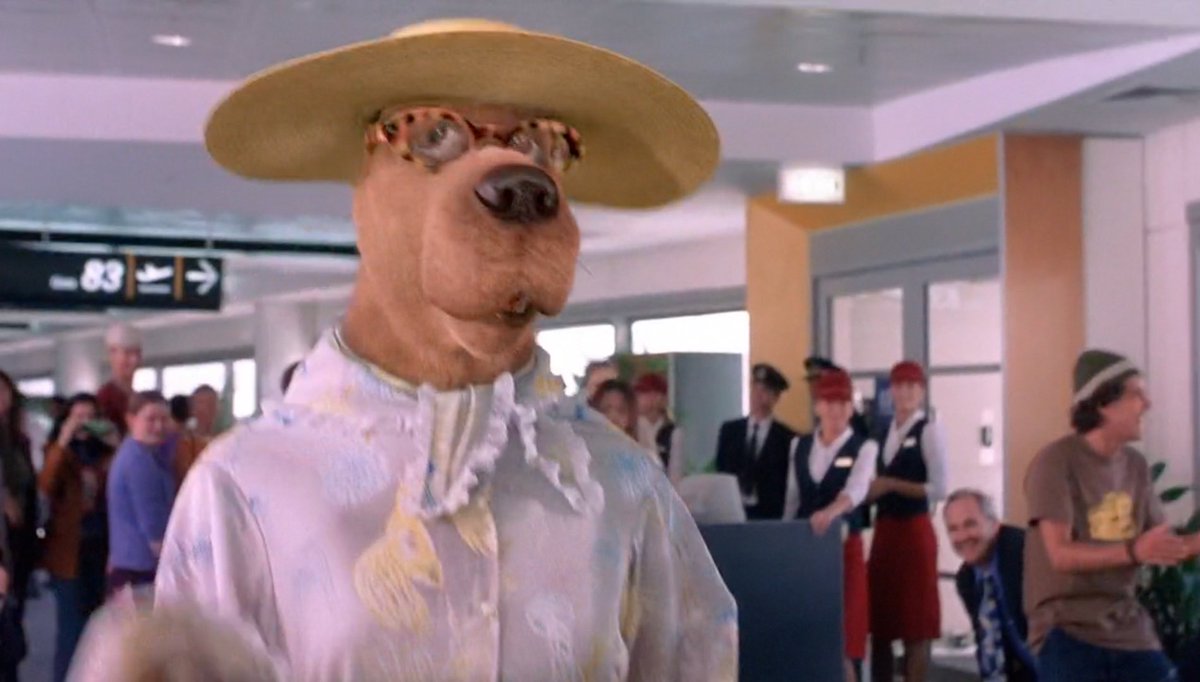 jrpoggioli's tweet photo. why is lil wayne dressed up like scooby doo when he was trying to be disguised as a grandma https://t.co/eptgKHAQmX