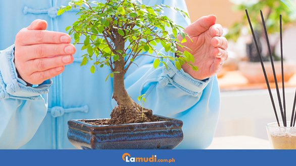 Lamudi_PH's tweet photo. The year of the Earth Pig holds promises of wealth and well-being for 2019. To attract these good fortunes to your family, here are simple feng shui steps you can apply in your home: https://t.co/jPcdn7MUCf https://t.co/OEf58tyGSL