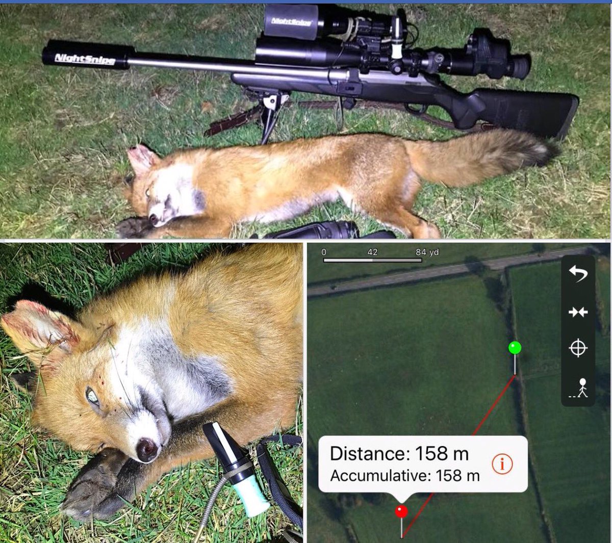 1st time out 2019 because of man 😷 perms looked dead and then rain started👌
So managed to winkle this Vixen out of cover with the Mini Meanie and the .243 x Pard NV007 x NightSnipe IR combo at 172yds
