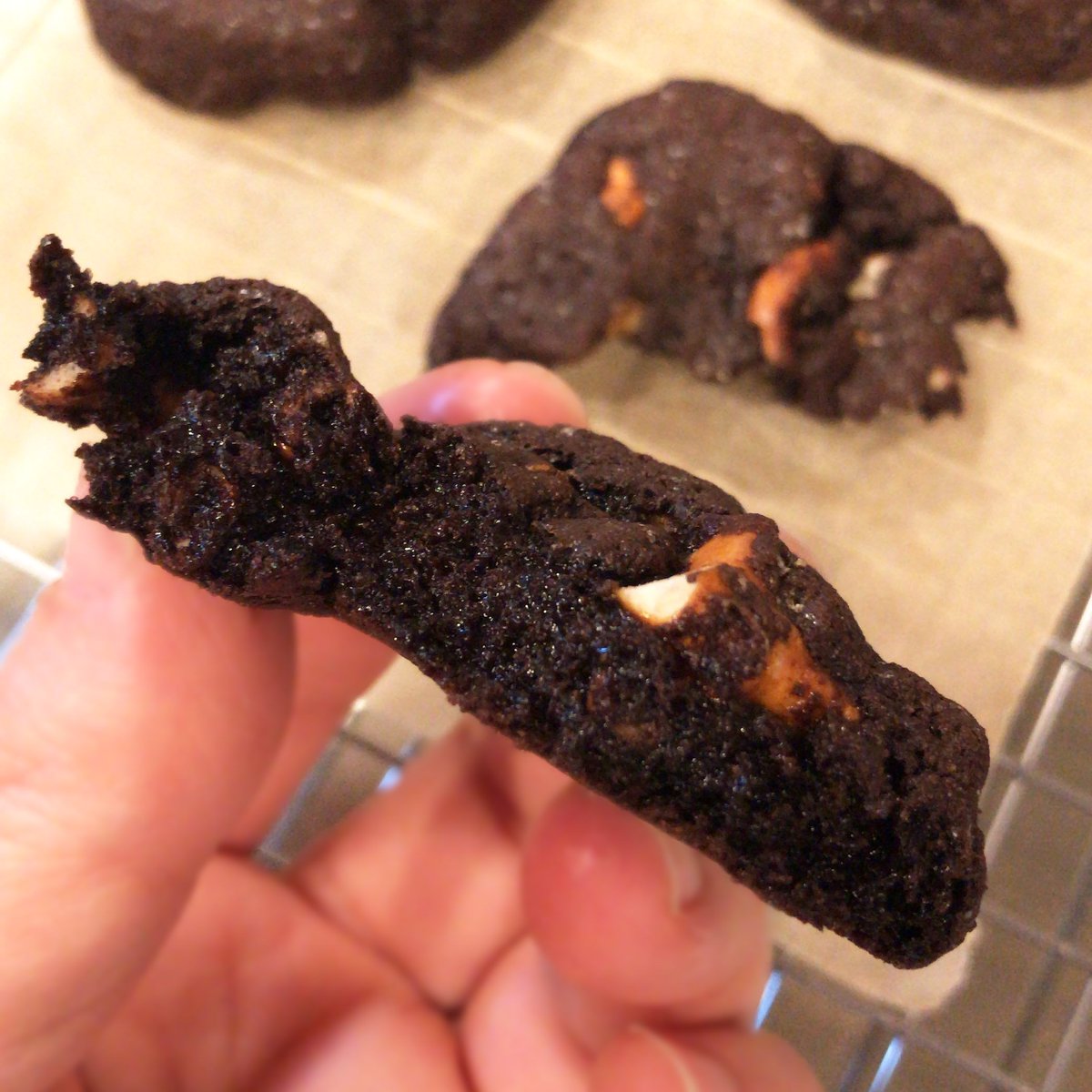 Freshly baked double chocolate #protein cookies with bits of gluten-free pretzel 😍 >5g protein per cookie when prepared with nut butter as we did here, no added sugar and nothing artificial. 💪🏼🌱 #glutenfree #iifym shop.proteincakery.com/collections/al…