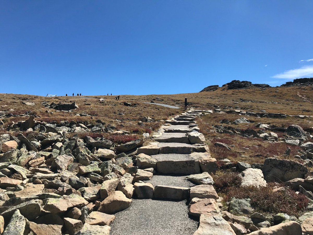 ladydodina's tweet photo. La tundra inizia dove gli alberi non possono sopravvivere alle fredde temperature. Alpine tundra begins where trees cannot survive with the extremes cold temperatures.
#AlpineTundra #TundraTrail #TollMemorialTrail ⁦@RockyNPS⁩ ⁦#AllaScopertaDellAmerica #FindYourPark #USA https://t.co/S2IvVj9NY7