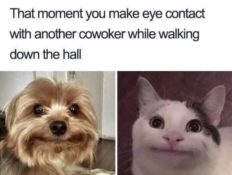 Respectful Memes (@respectfulmemes) on Twitter photo 