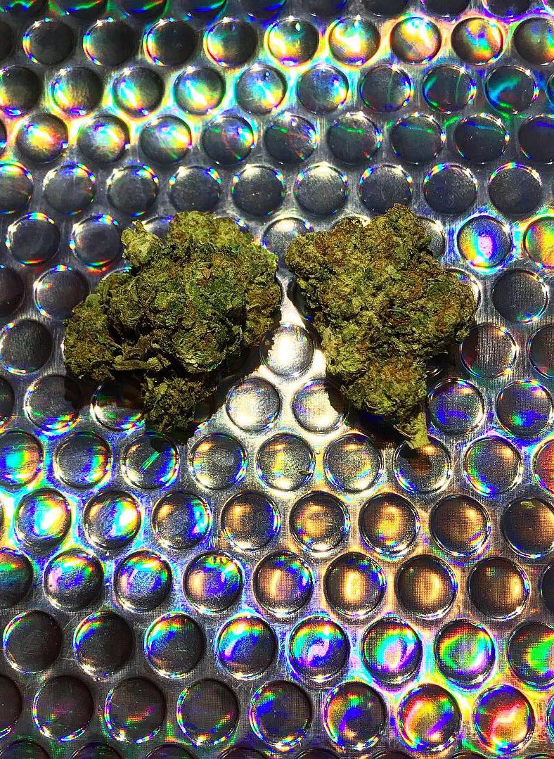 _babijami's tweet photo. Dreams Don’t Work Unless You Do 🌟
Strain: Platinum Cookies
This One Is 🔥
#LookingGreatSmokingDank https://t.co/E6bXUYphx5