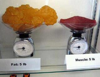FitnessTweetzz's tweet image. 5lbs of fat vs 5lbs of muscle #LoseTheFat #GetLean