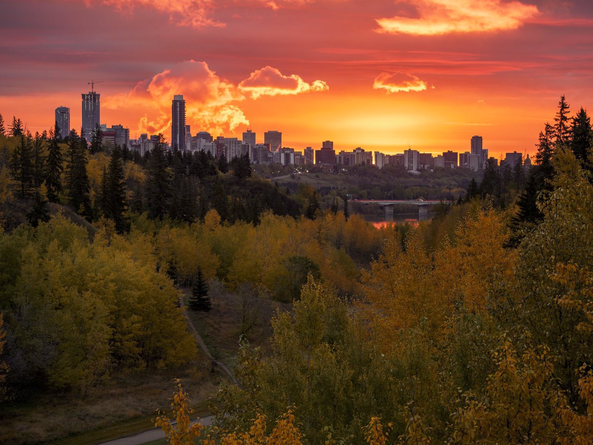 Congrats and thanks to all the sharp eyes and keen lenses out there! All the winning shots from the #yeg2018pics contest are posted here: doniveson.ca/2018-photo-of-… #ExploreEdmonton