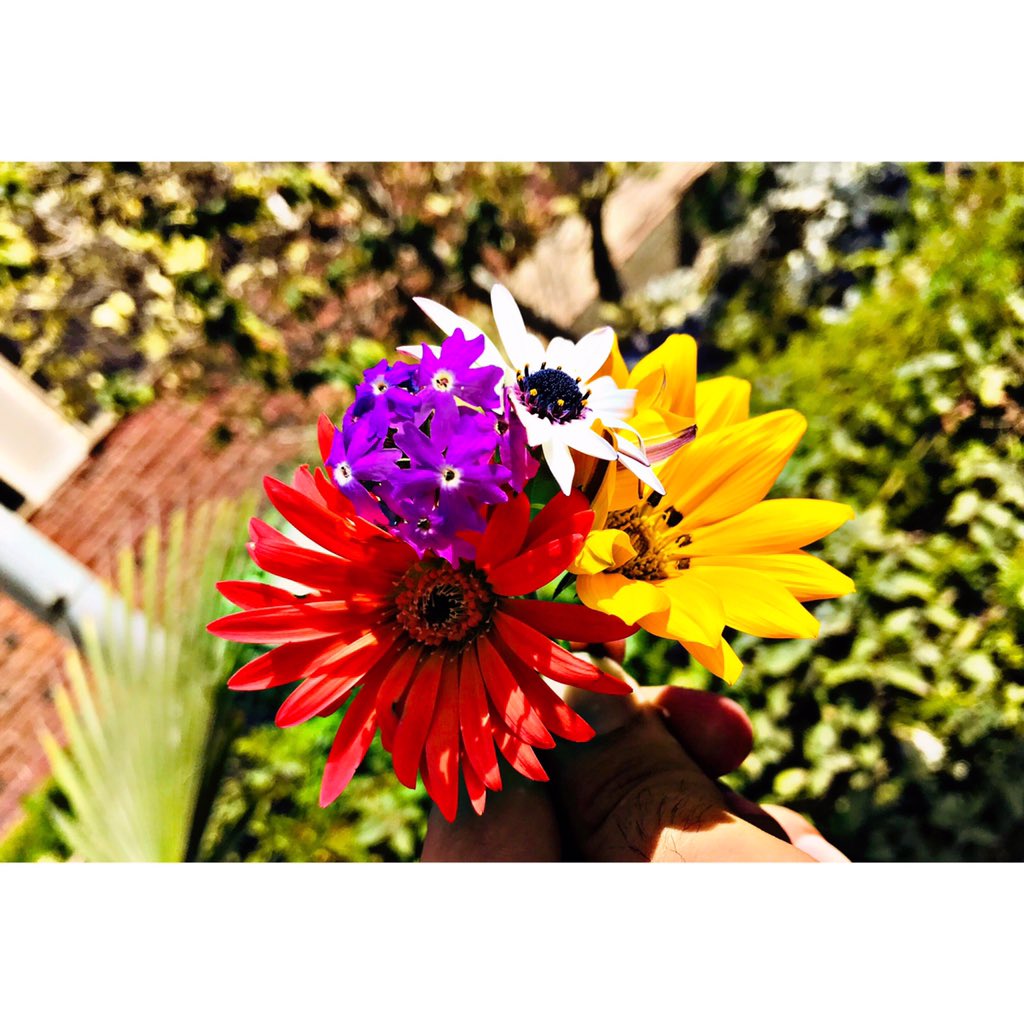 m7md_yosry's tweet photo. #صوره_من_تصويرك 📱❤️ https://t.co/rXlgSQgrOS