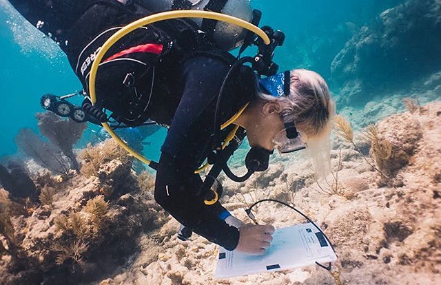 jmagicbean's tweet photo. Sending you all a fin-tastic day! πΊππ¦π π¦ missing all my SHA archaeology folks who are partying I mean conferencing without me π
β¦
#maritimearchaeology #floridakeys #fknms #noaa #YDWP #dwp https://t.co/axJcYB6RGC