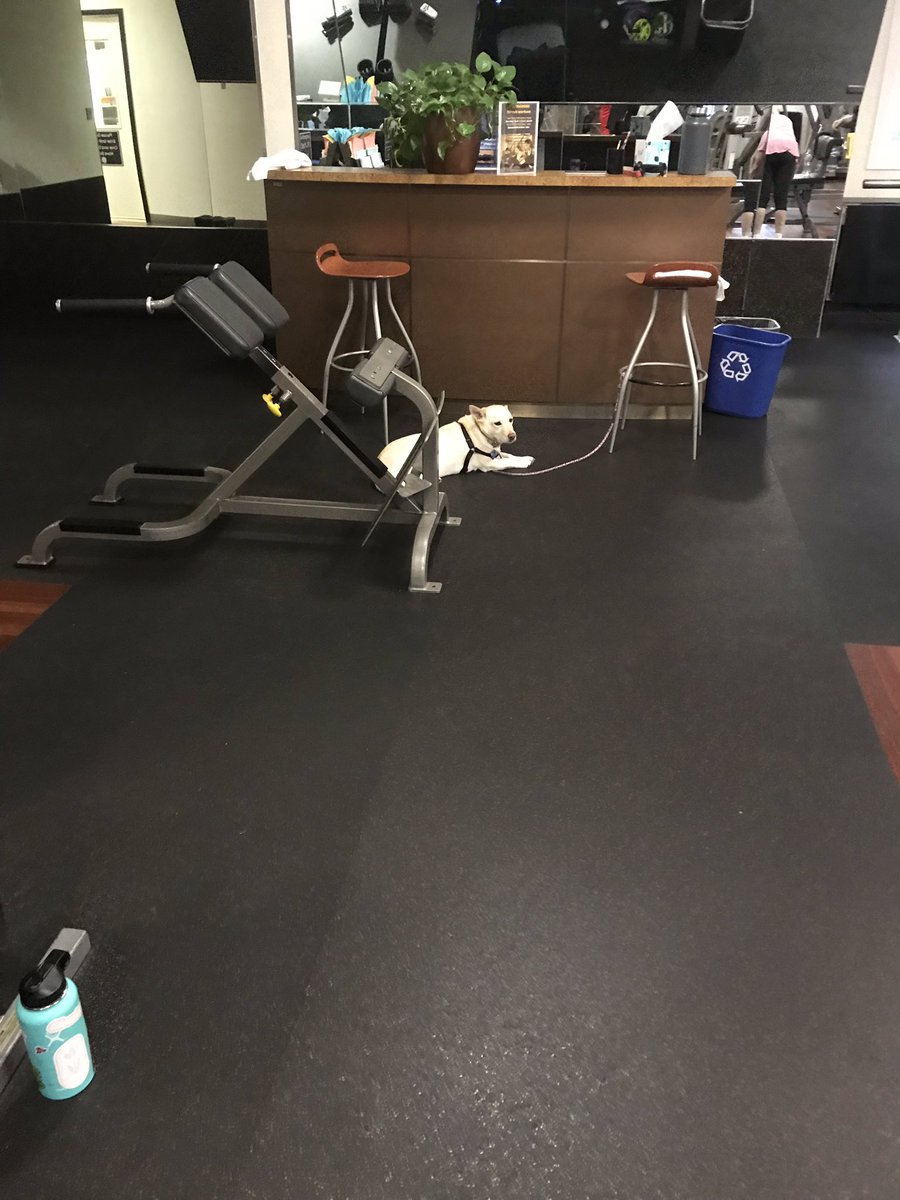 baeleiwiesner's tweet photo. This guy won’t stop staring at me at the gym men are dogs https://t.co/dXOsea6zo1