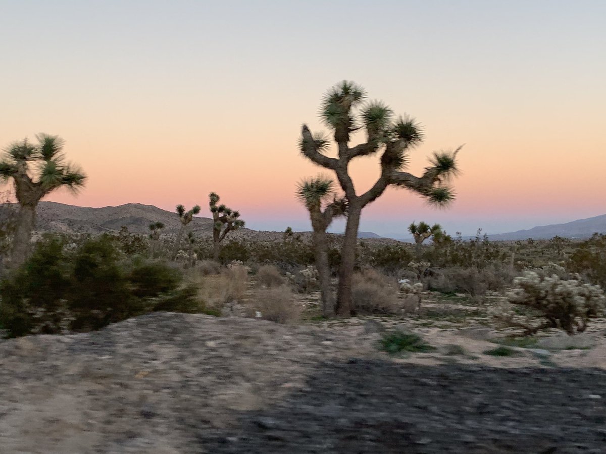 Driving to the new <a href="/flyingpotion/">Flying Potion</a> album with <a href="/tannerprynn/">Tanner Prynn</a> in the high desert during sunset 👌