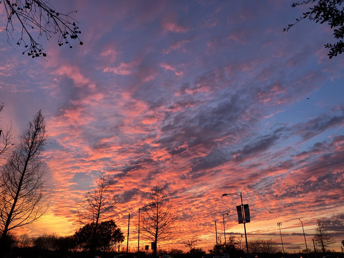 365ThingsAustin's tweet image. Austin definitely had one of those, “go look at the sunset” nights