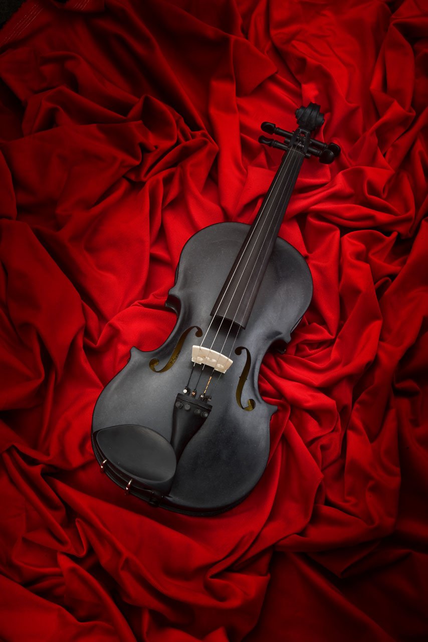 Wikipedia on Twitter: "This is a violin made of stone and mammoth ivory.  The plutonic rock used for its belly is about 1.6 billion years old.  https://t.co/0YCqOdGewf https://t.co/veUcABXSF6" / Twitter