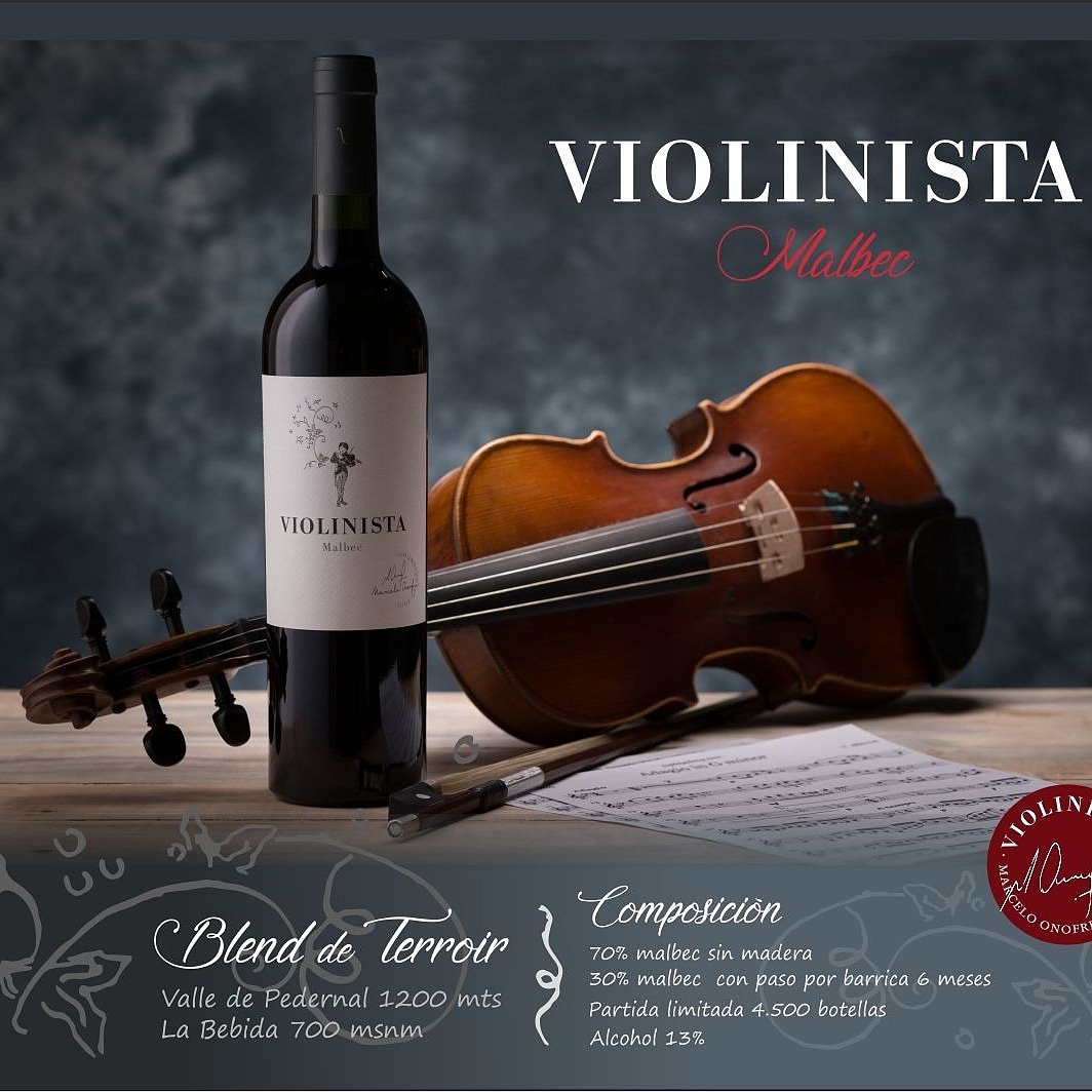 #violinista #blenddeterroir #cavadeautor #vinoporcopa