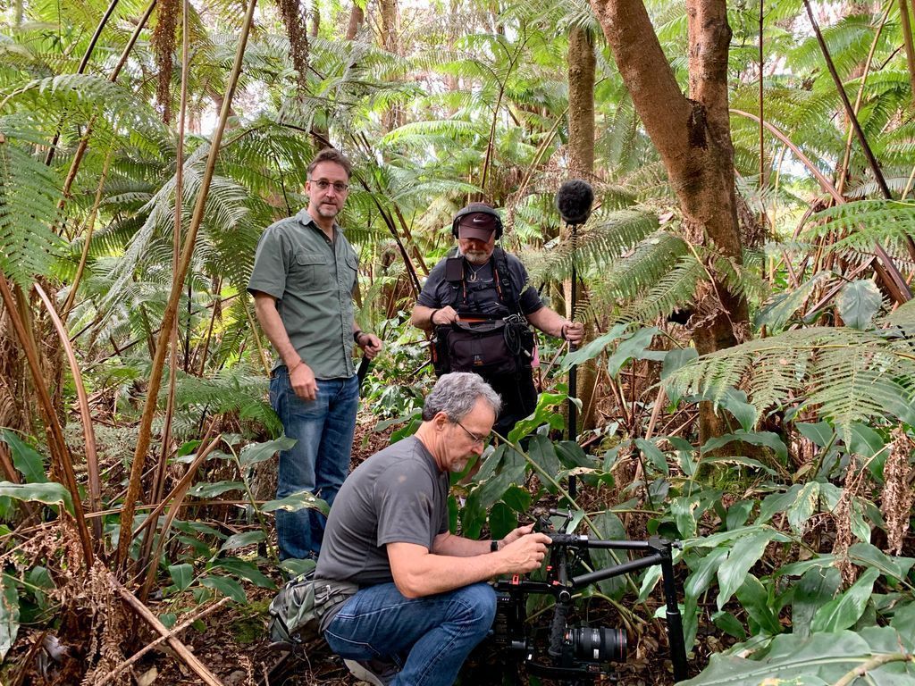 After capturing the perfect bird's eye views of #Hawaii from the air, we headed into the forest with @Nicolasroether (Director) & Paul Atkins (Director of Photography) & Keith Nealy (Audio) of @passionpix for more...