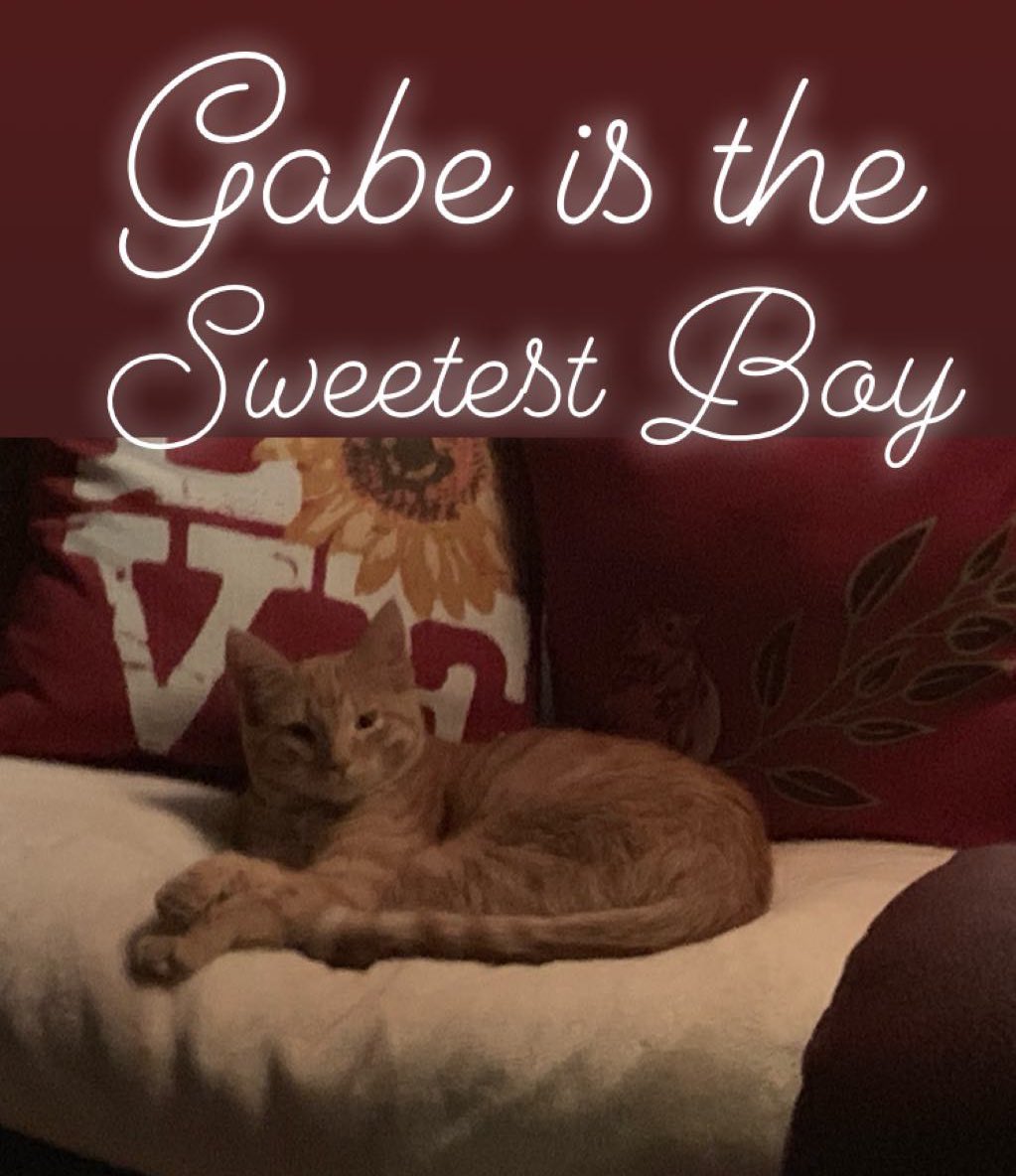 HockeykatKate's tweet photo. No relationship to Landeskog but it reminds me to #VoteGabeIn #GoAvsGO https://t.co/aAyPJz7cgy