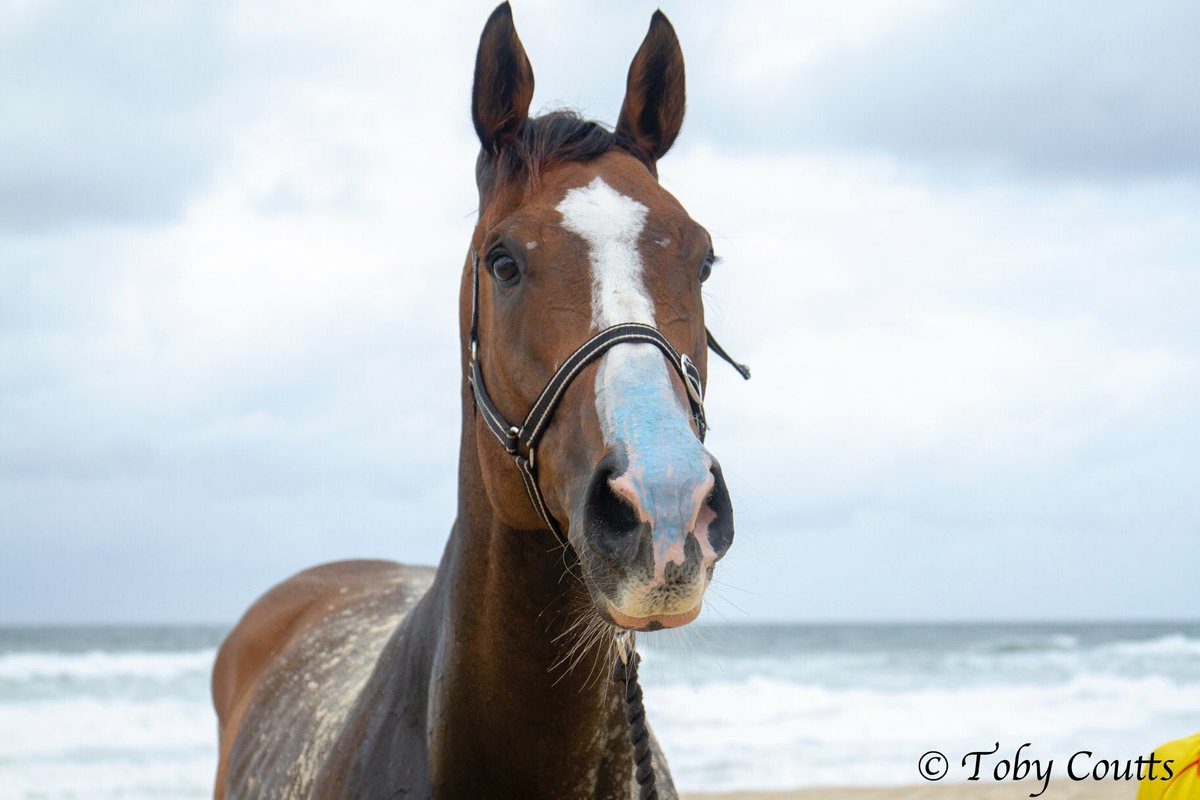 kevinfrom7's tweet photo. Finally a race I can win!!
Well done to @mmsnippets you really did bring the magic to the beach this morning 👏🏻 #swimbetweentheflags 🌊
Thanks for the great pics @simon_merritt #bluezinc #slipslopslap https://t.co/IAi05wOvRa