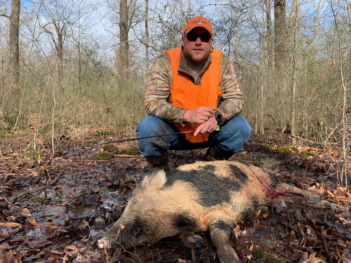 DustinHudsonAR's tweet photo. I did a little hog management this weekend. Never gets old to lay something down with the ole stick and string. https://t.co/qwUToUN5Ji