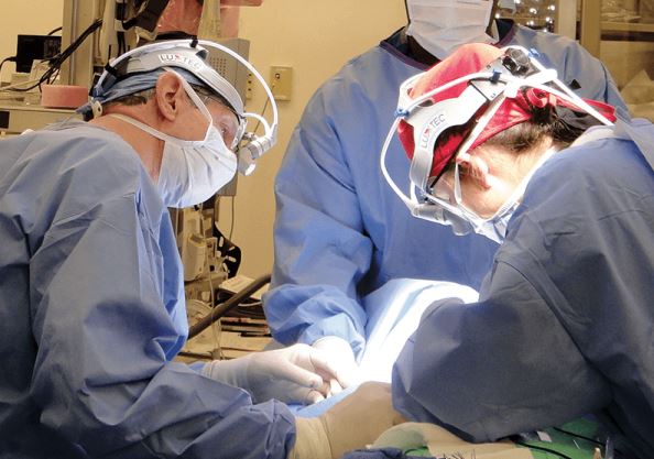 AmCollSurgeons's tweet image. "The best surgeons not only exhibit extraordinary technical skills, but much more. They value their mentors...they are humble and endowed with the ability to create and nurture a team with empathy and sharing in human suffering." ow.ly/fHz330ndzis #BulletinACS #surgeon