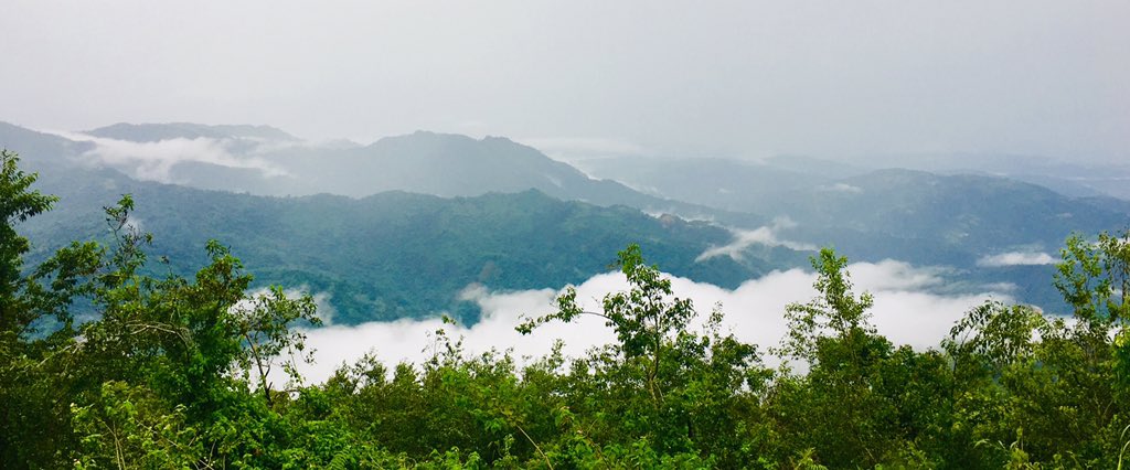 juraydeah's tweet image. Great Faith patiently stands on The Word of God.
Great Faith does not let go of God’s Promises.
Great Faith is “consistently constant” in trusting God.
Hebrews 11:27b for he endured as seeing him who is invisible. 
#ENFast2019 #greatfaith2019