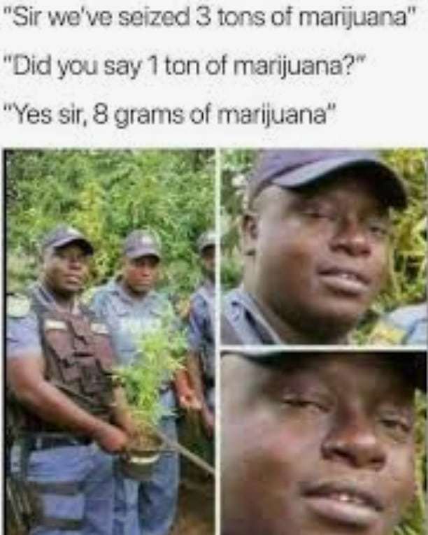 social_weed's tweet photo. https://t.co/NucsqsLceZ got me lol!

#love #instagood #photoftheday #fashion #beautiful #happy #cute #tbt #likeforfollow #followme #picoftheday #follow #me #selfie #instagood #instadaily #friends #repost #girl #fun #style #instalike #cannabis #me #marijuana #funny #memes #girls… https://t.co/jeuTbjN62J