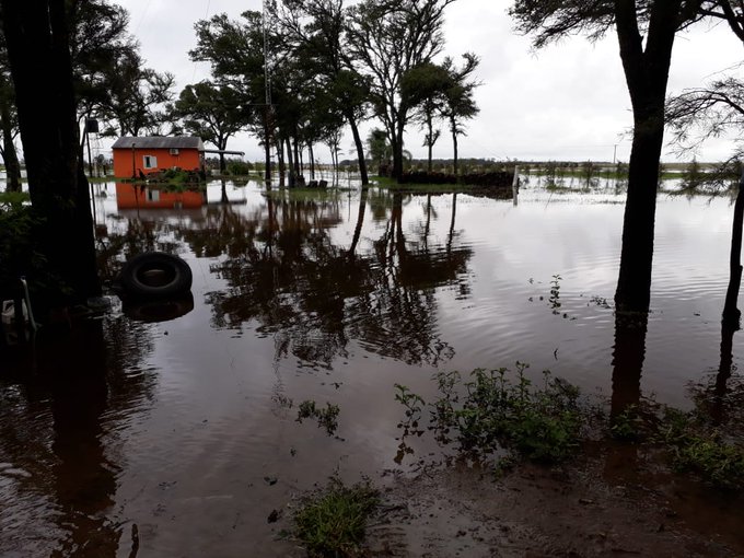 Ver imagen en Twitter