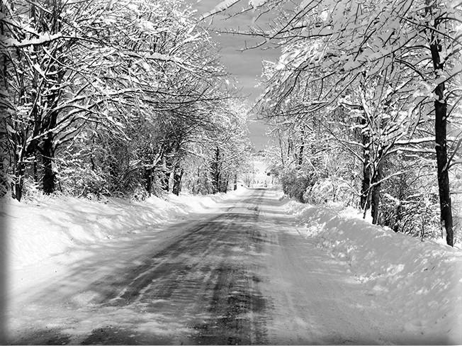 Loverdesart's tweet photo. ...The white road before me
shining snowcrystals
rainbowed by the sun
fields that are white
stained with long, cool, blue shadows
strong with the strength
of my horse as we run
joy in the touch of the wind
and the sunlight

Joy!

~ Poet Amy Lowell https://t.co/Lof3Atk00m