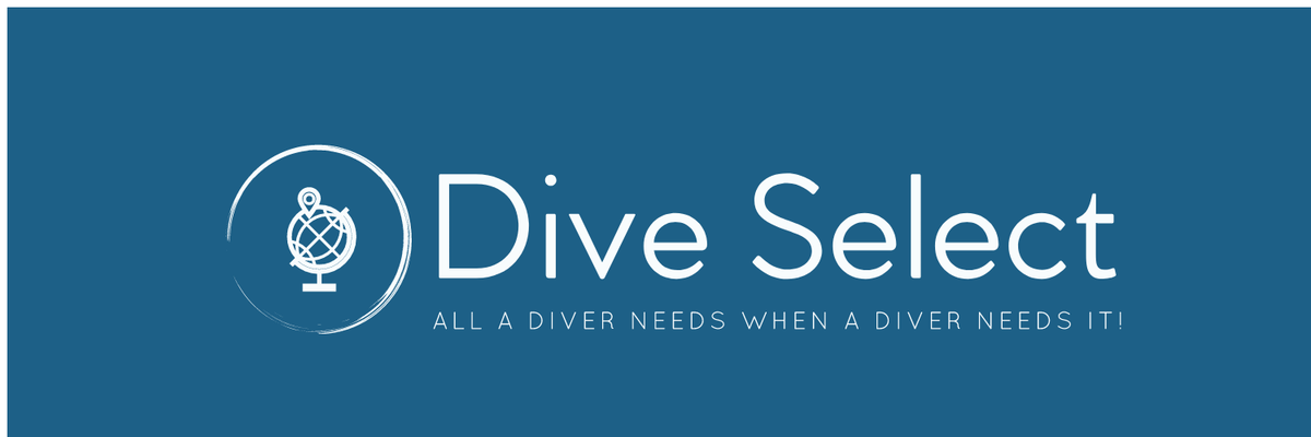 DiveSelect's tweet image. Hi guys, we are a scuba diving start up from Sydney Australia with the aim to bring first in class content and rich forums all delivered via amazing tech. Dive Select, all a diver needs when a diver needs it!