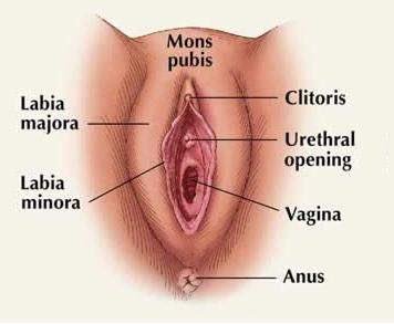 Lily Njoroge On Twitter Warning Graphic Image Just To Clarify