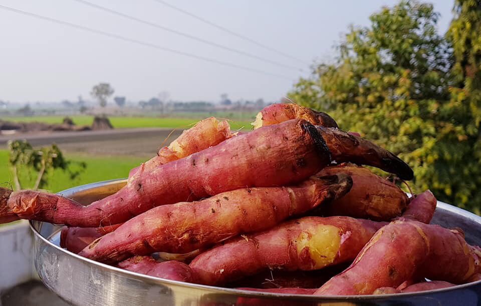sanesa's tweet photo. When learned souls visit us & we share our fresh produce with them at #Sanesa... https://t.co/gG5pjEnMdK