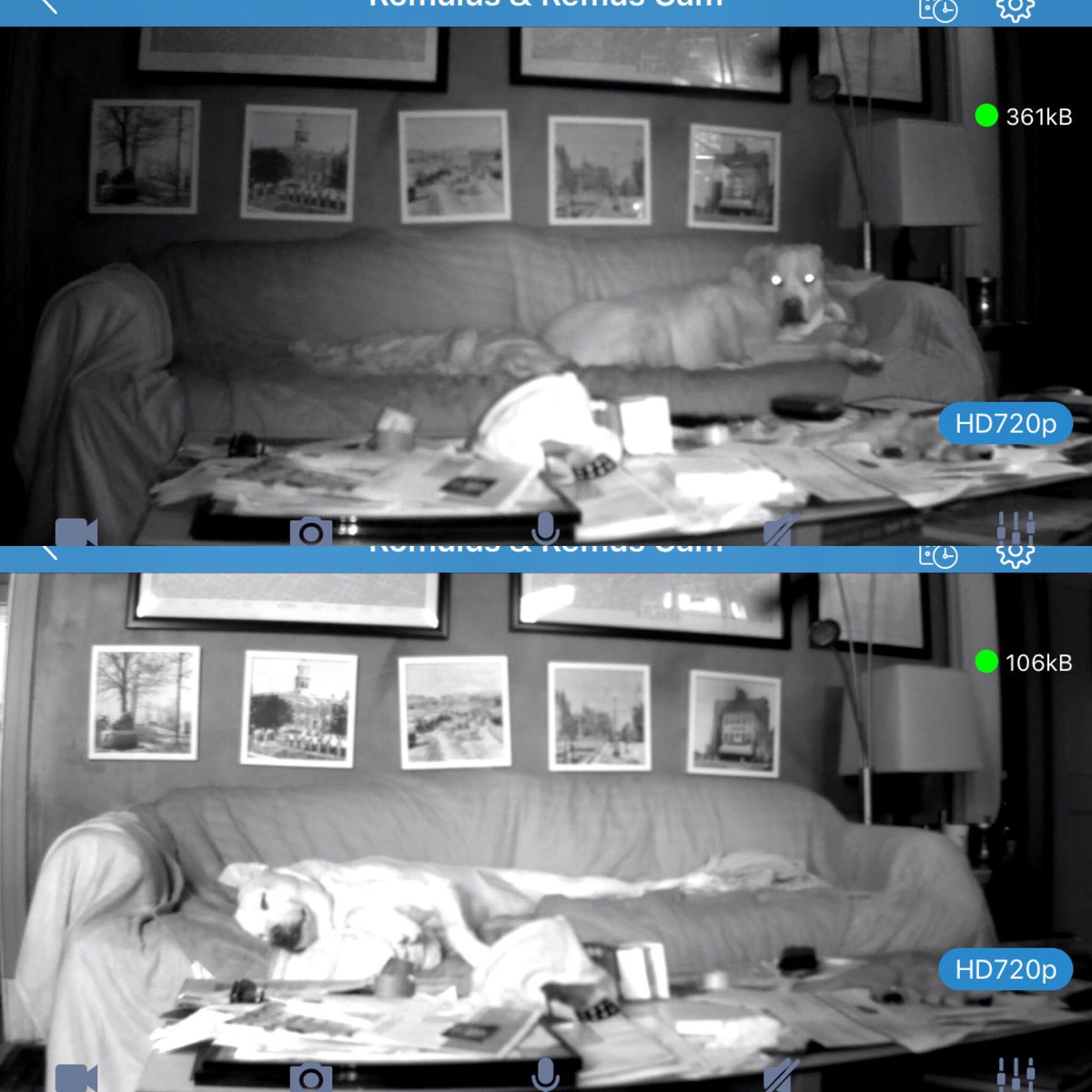 cmullis1209's tweet image. #DifferentDogs #DifferentTimes #SameLocation #SameResult 🛋 💤 🐶🐶 #remusthepittymix #romulusthepittymix #sleepydogs #watchdogworkisexhausting #americanstaffymixofatlanta