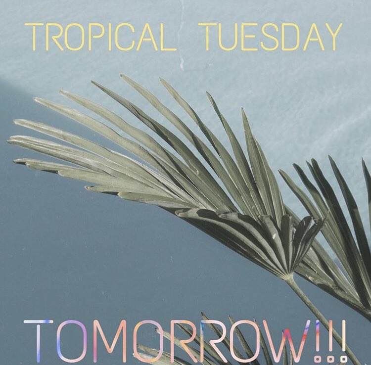 Tropical Tuesday tomorrow!