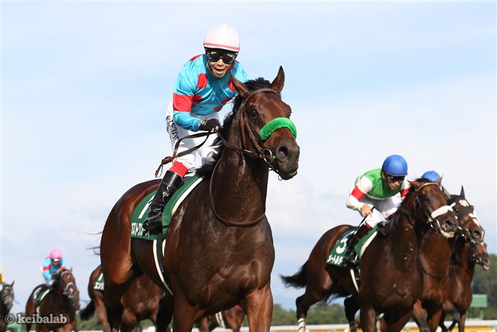 keibalab's tweet photo. 【最優秀3歳牡馬】

ブラストワンピース

#競馬
#keiba
#JRA賞
#ブラストワンピース
https://t.co/Aqt6oRDaCh https://t.co/0dmMlXu6Ow