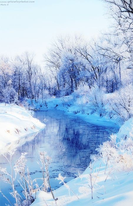 MarionSpekker's tweet photo. Good morning : ))
Twitterworld ❄💙❄ https://t.co/z6QLJDnwWJ