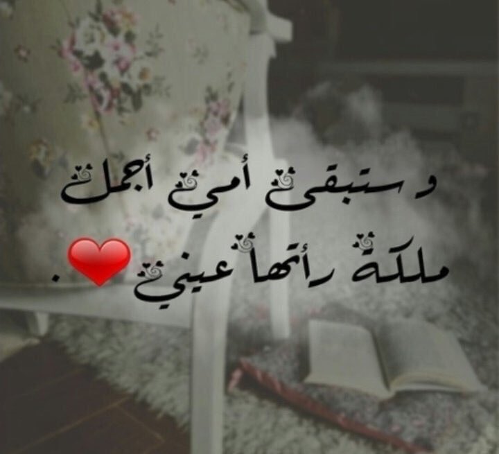 أبــو طــلال.. (@mohammad5442200) on Twitter photo 