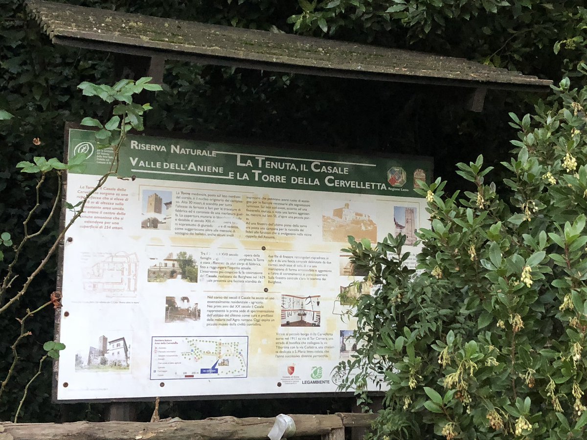 Maurizio Gubbiotti tweet media