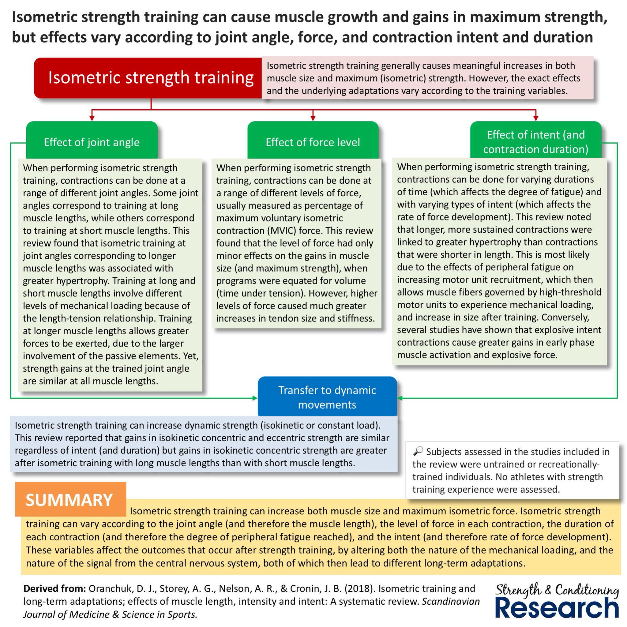 Isometric hypertrophy hotsell