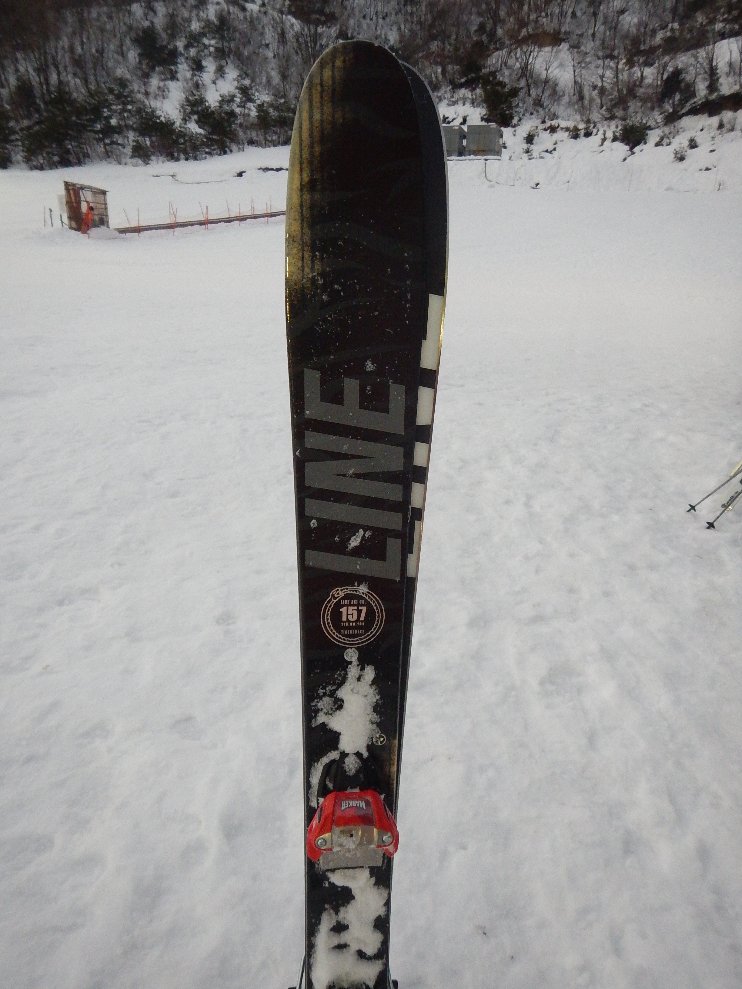 驚きの価格が実現 ストック付き 167cm タイガースネーク Ski Line 超セール中 板 Madmex Co Nz