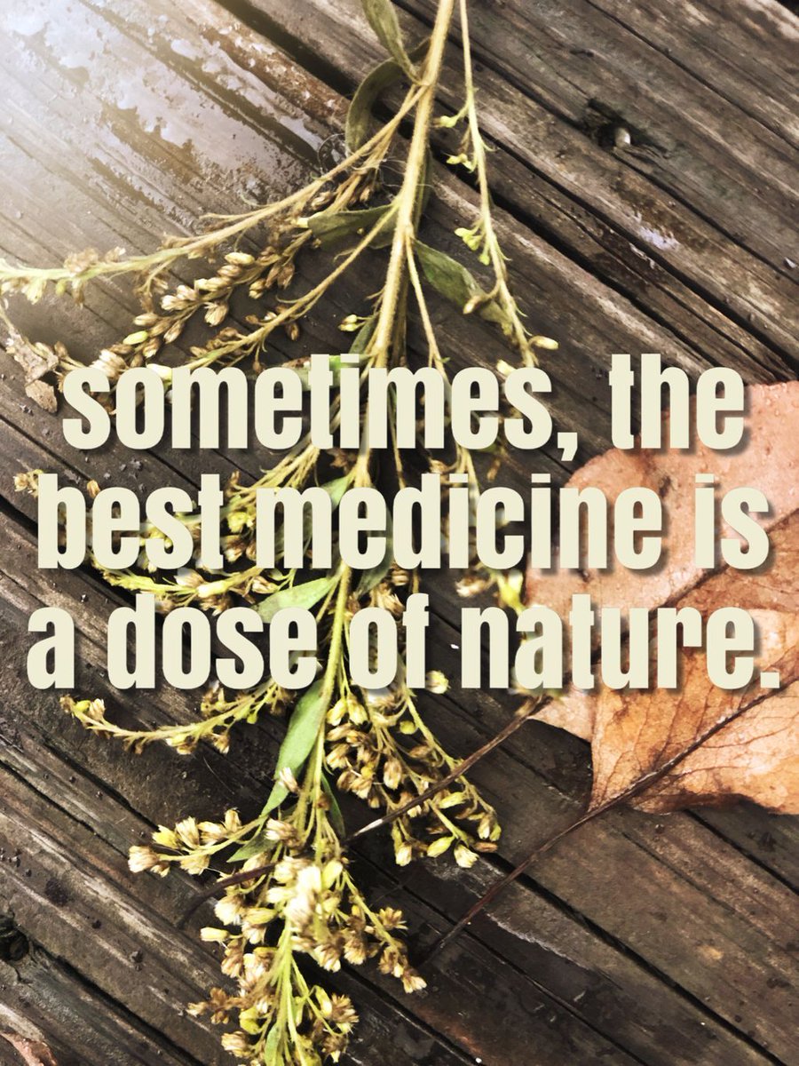 DrKristieLeong's tweet photo. A University of Rochester study found that spending just 15 min away from electronic  devices led to an improvement in mood. Extra points for taking that 15 minute break outdoors in #nature. #stressrelief https://t.co/oCkCaThT6I