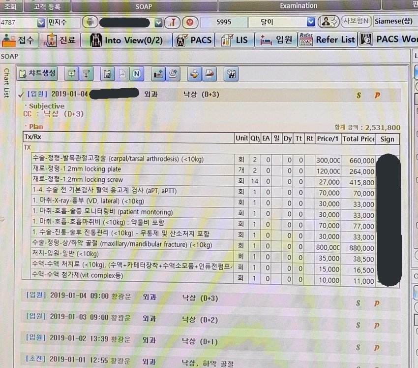 help_moon_'s tweet photo. 🙏RT부탁드립니다🙏
4층 높이에서 떨어지는 사고를 당한 고양이 달이입니다.
부모님께서는 안락사를 하라고 하시고 수술을 할경우 수술비를 내줄 수 없다고 하십니다..저에게는 8년을 함께한 소중한 동생을 이대로 떠나보낼수가 없어 이렇게 트윗을 올립니다.
3333094681960 카카오뱅크 ㅁㅈㅅ https://t.co/pmdUEk5Bzn